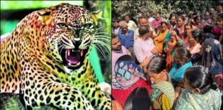 उत्तराखंड: गुलदार के हमले में महिला की मौत, आदमखोर घोषित करने की मांग लेकर हाईवे पर उतरे ग्रामीण